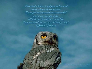 Owl Wisdom Quotes. QuotesGram