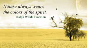Nature essay by ralph waldo emerson