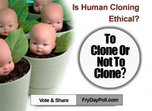Cloning Opinions Essay