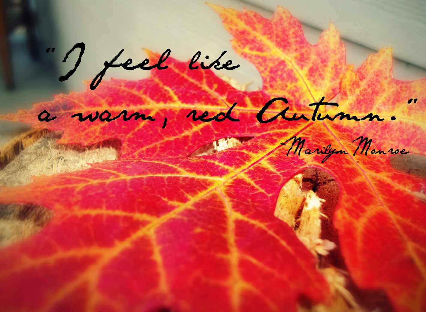 Welcome Autumn Quotes Quotesgram