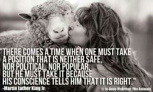  Quotes  Against Zoos  QuotesGram
