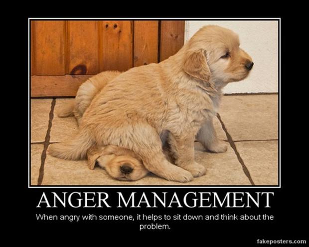 Funny Quotes Anger Management. QuotesGram