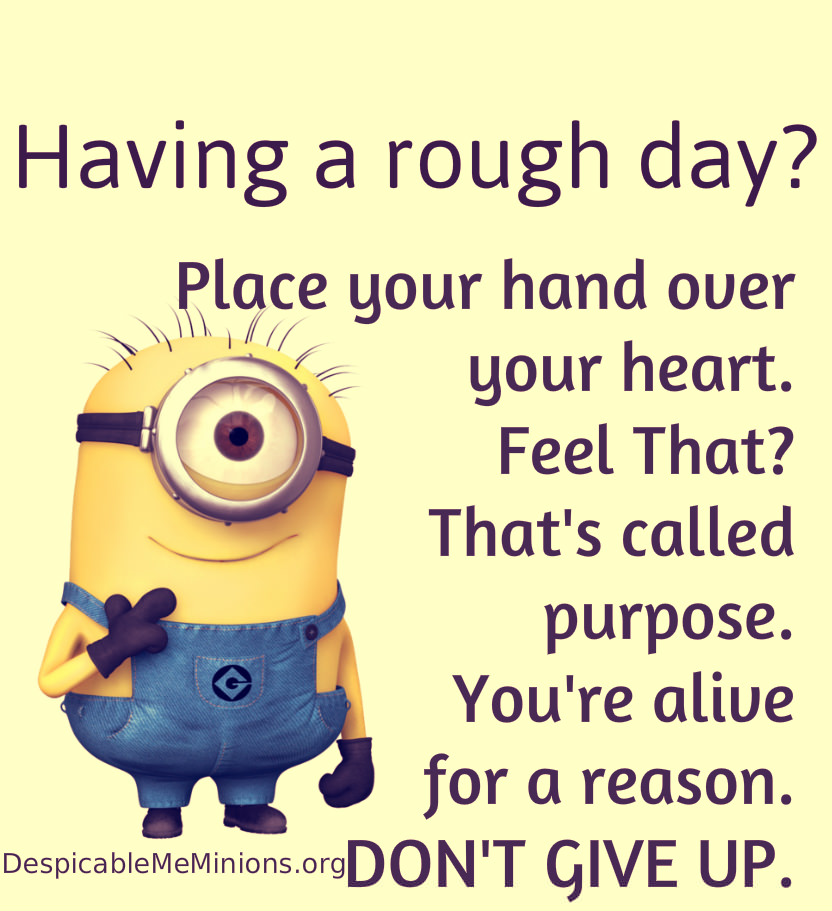 despicable me quotes funny