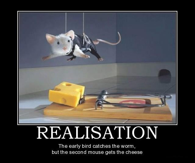 Mouse Trap Funny Quotes. QuotesGram
