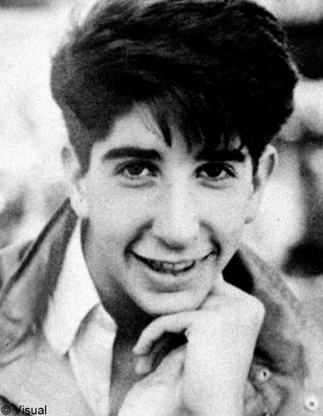 David Schwimmer Quotes. QuotesGram
