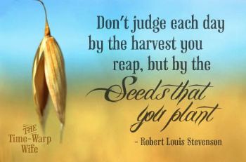 Sow Seeds Quotes. QuotesGram