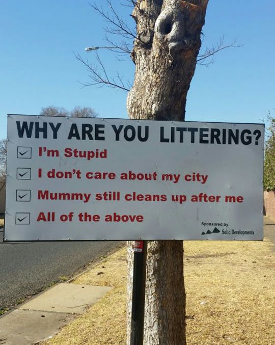 Amazing Littering Quotes  Check it out now 