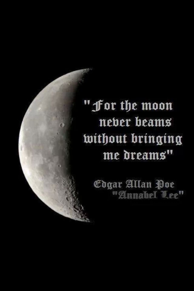 Moon Dancer Quotes Pics Quotesgram Moon Dancer Quotes Pics Quotesgram