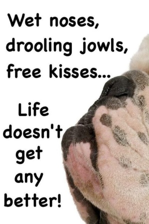 English Cute Quotes. QuotesGram