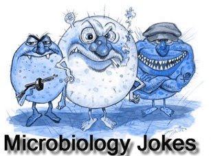 microbiology jokes funny quotes humor bacteria quotesgram joke puns 2008 coolpun