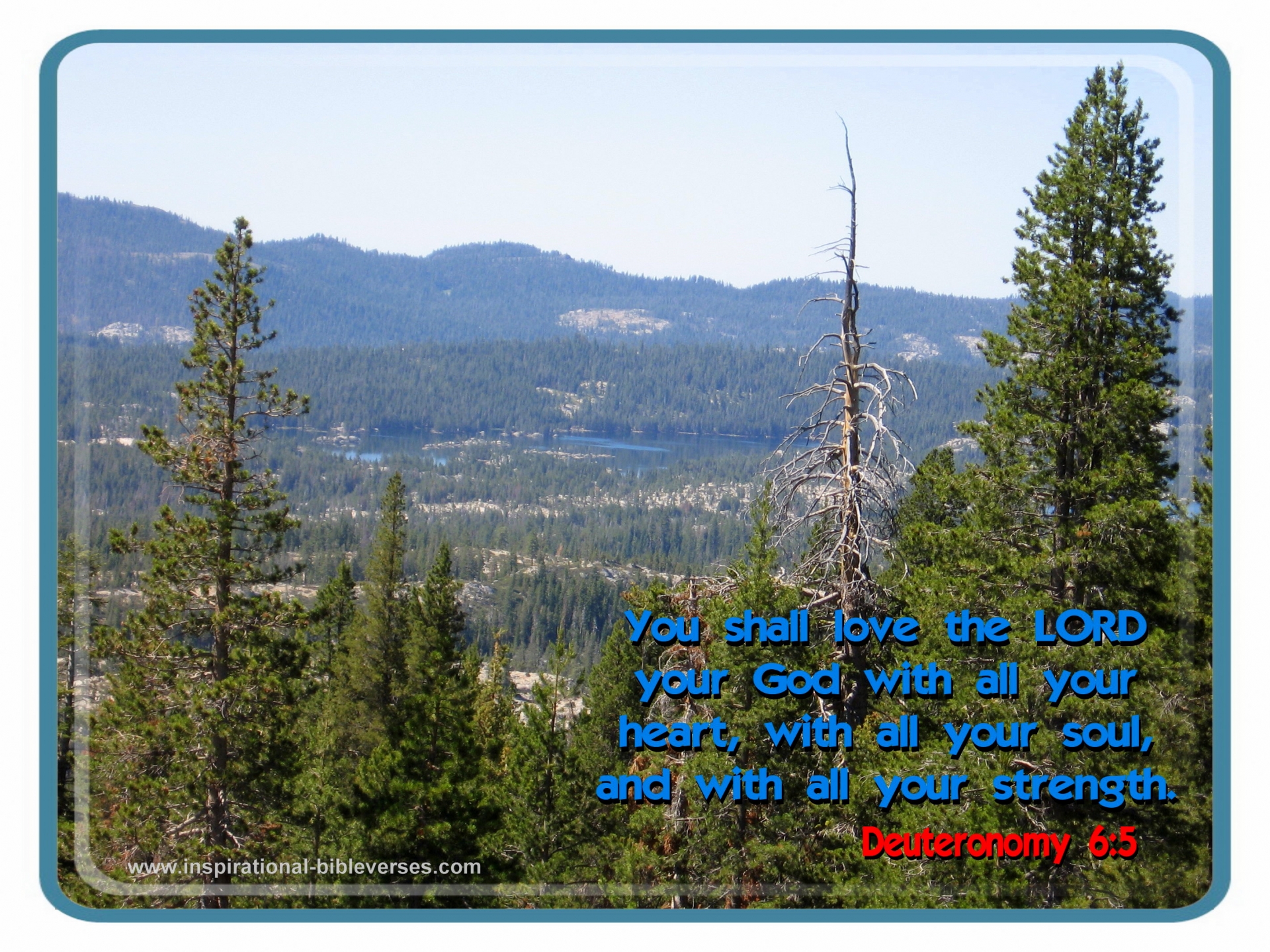 old-testament-quotes-about-love-quotesgram