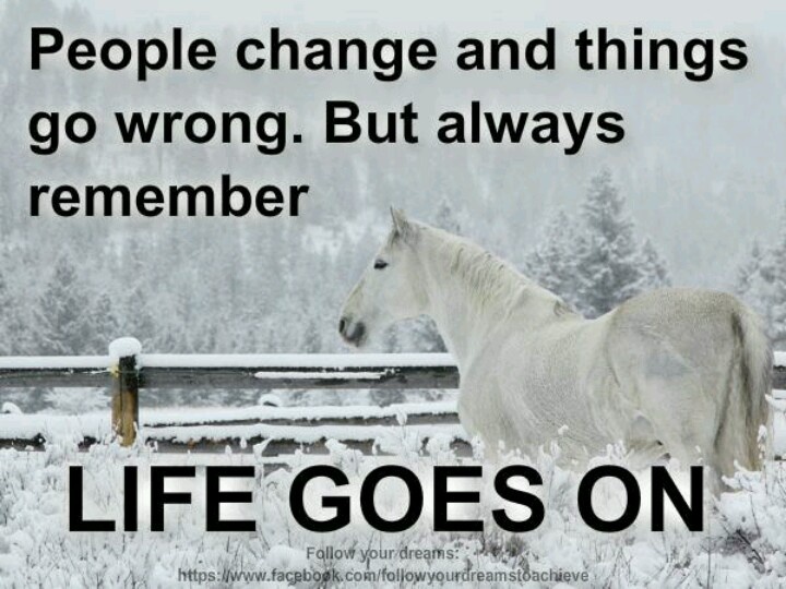 Повзрослей тимми тёрнер. Engineering disasters. Things go wrong. Engineering life. Things go wrong.