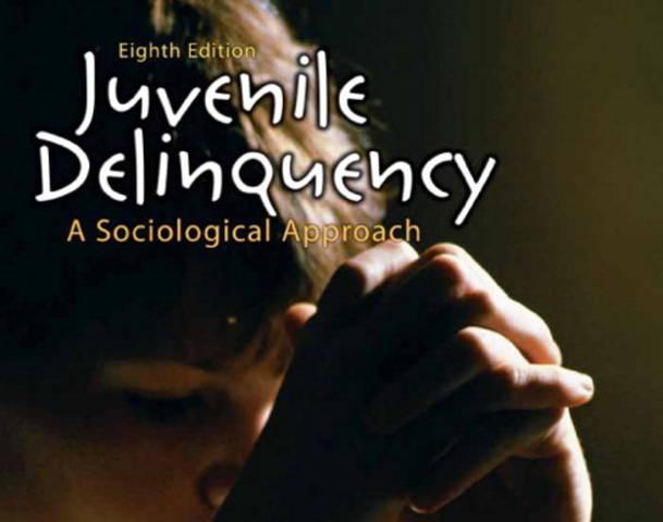 Juvenile Delinquency Positive Quotes. QuotesGram