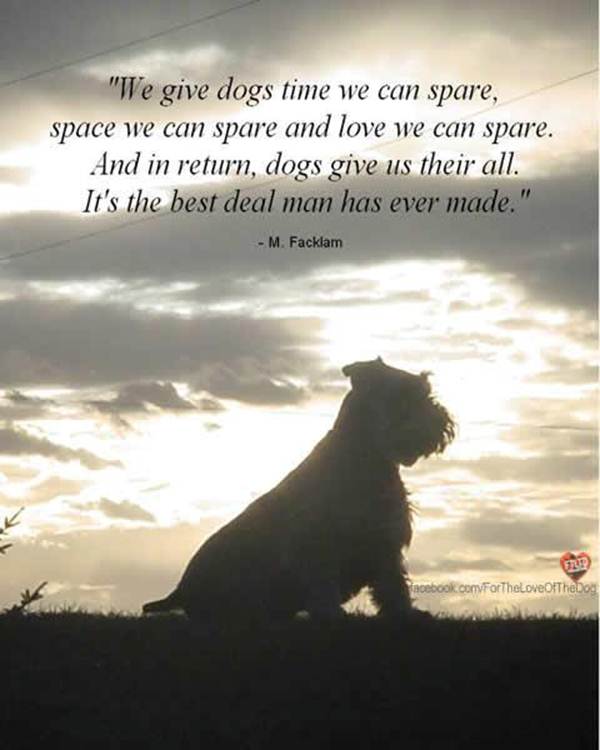 My Best Friend Dog Quotes Death QuotesGram my-best-friend-dog-quotes-death-quotesgram
