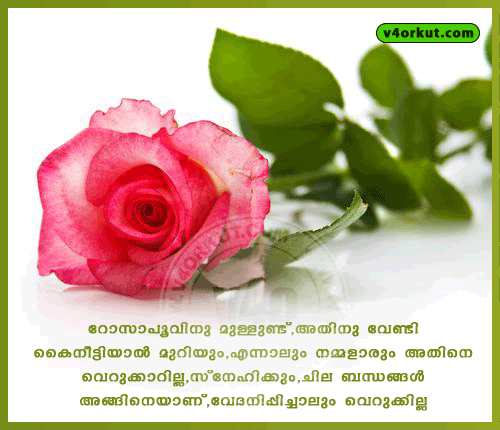  Malayalam  Quotes  About Friendship QuotesGram