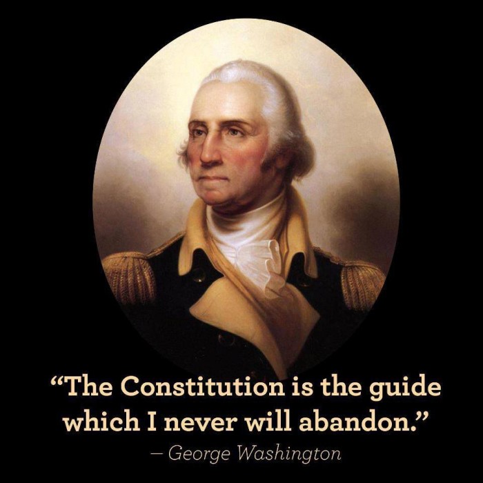 1970481858-george-washington-i-will-never-abandon-the-constitution.jpg