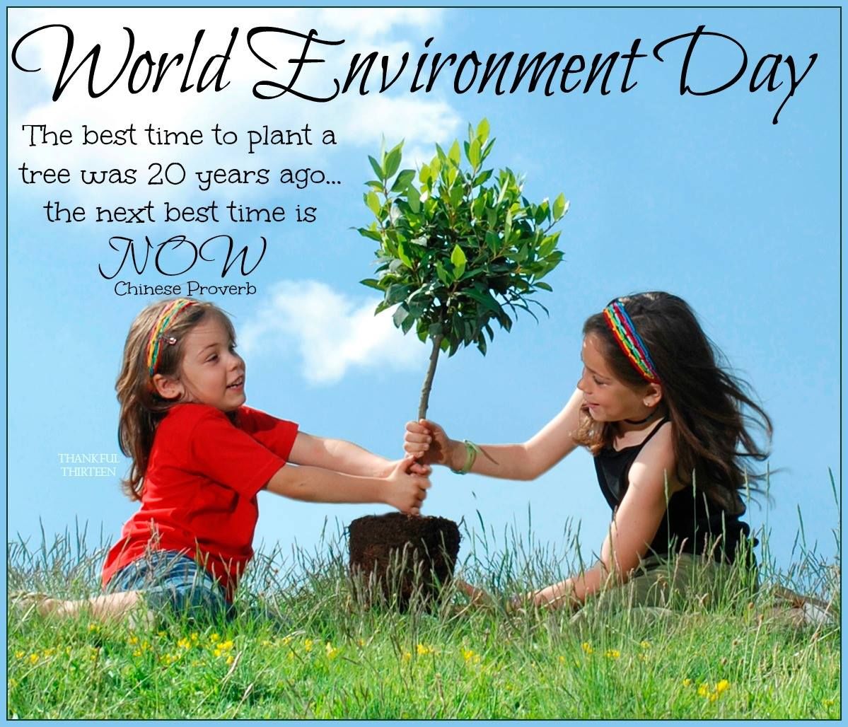World Environment Day Quotes Quotesgram