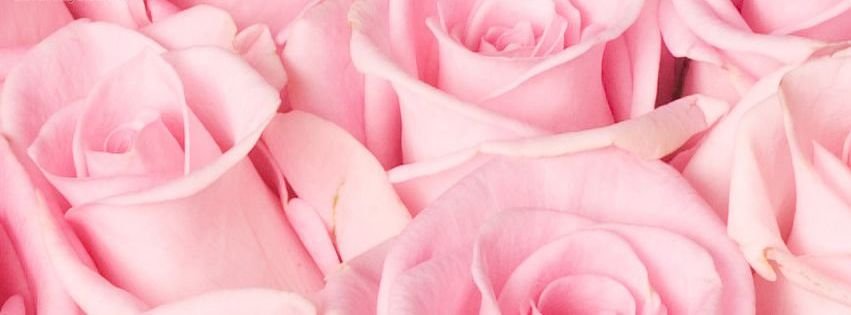 Pink With Quotes Facebook Cover Quotesgram Pink With Quotes Facebook Cover Quotesgram