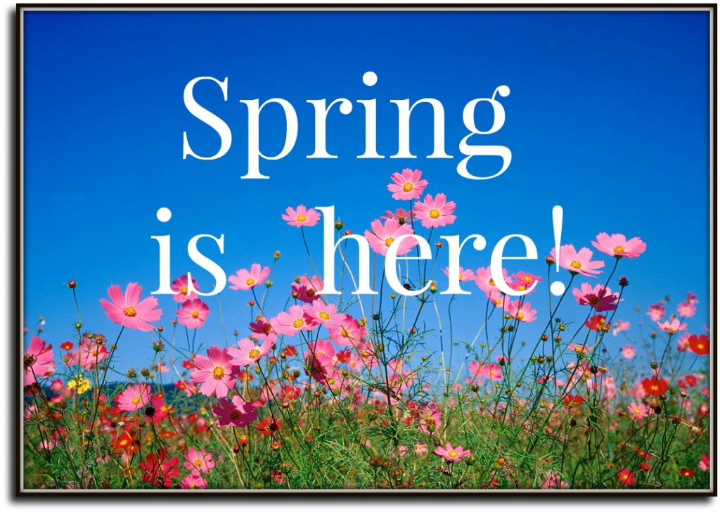 Spring comes перевод. About Spring. Spring quotes. Phrases about Spring. Spring comes quotes.