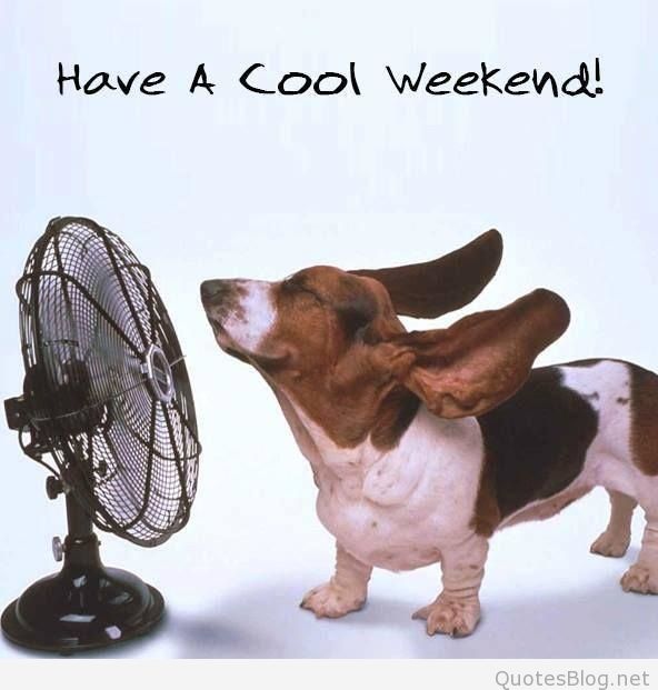 Have An Awesome Weekend Quotes QuotesGram