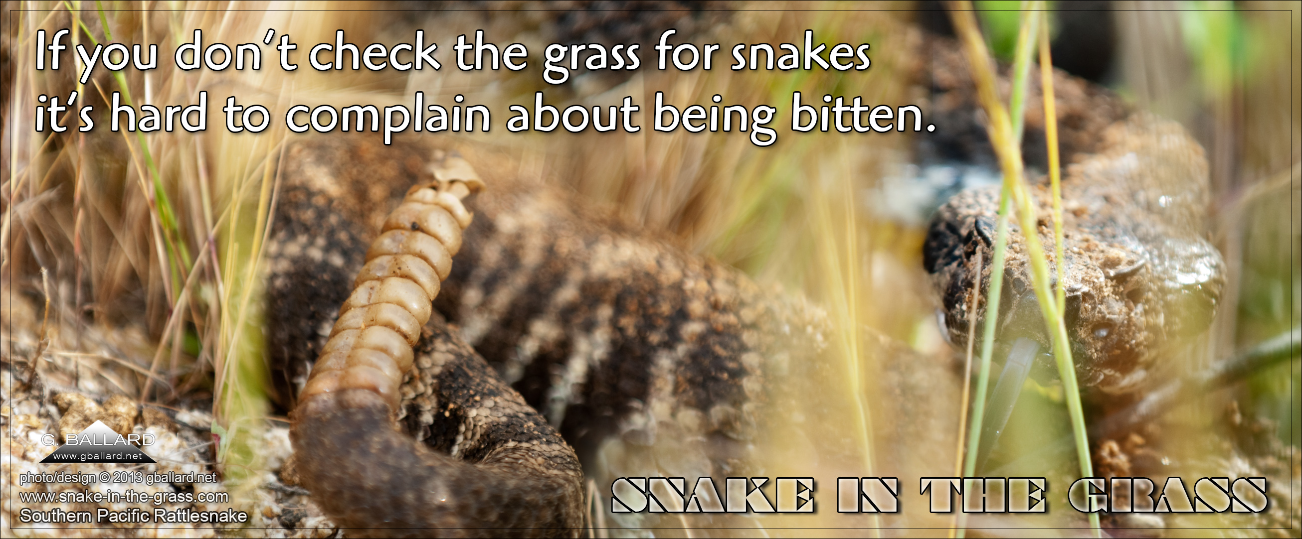 Snake In The Grass Quotes.