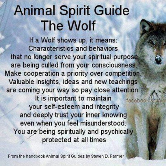 Wolf Spirit Quotes And Sayings Quotesgram