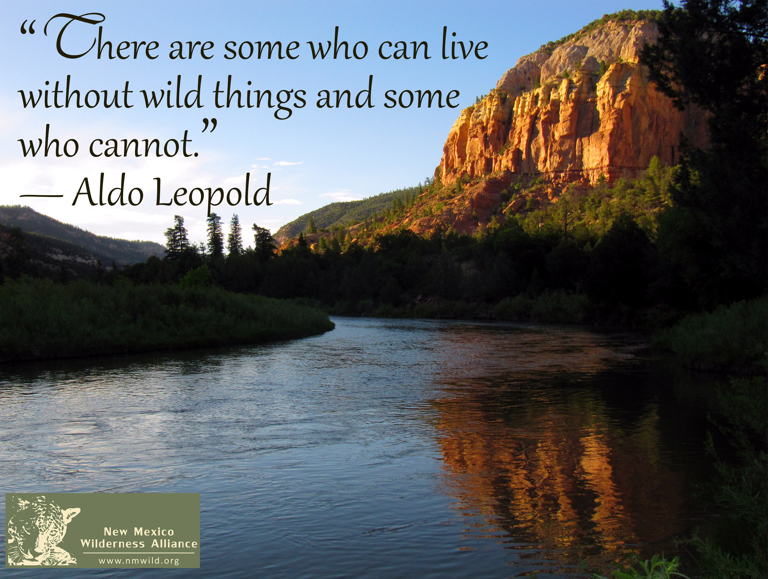 Wilderness Quotes QuotesGram wilderness-quotes-quotesgram