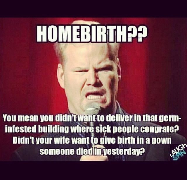 Jim Gaffigan Quotes. QuotesGram