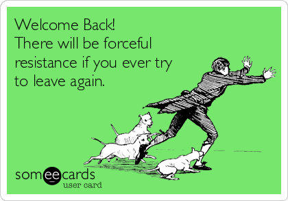 Welcome Back Funny Quotes. QuotesGram