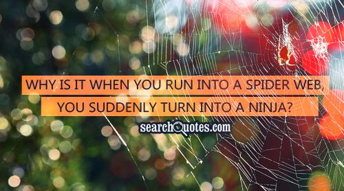 Quotes About Spider Webs. QuotesGram
