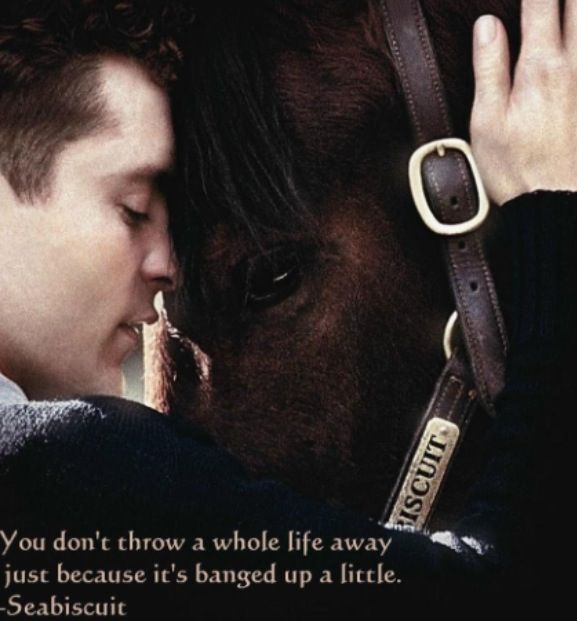 seabiscuit an american legend book seabiscuit an american legend book