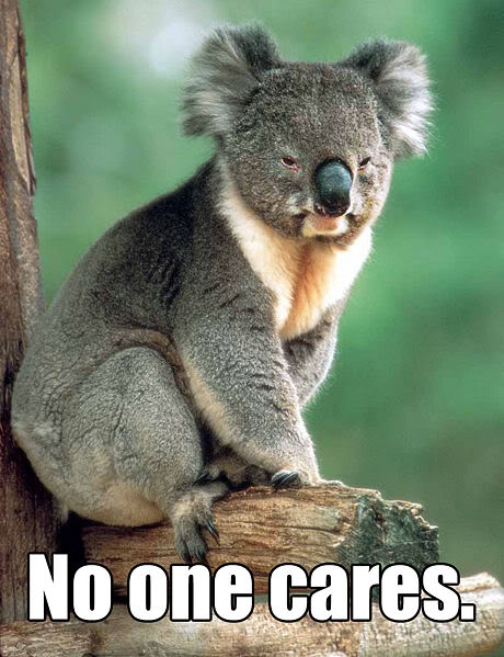 Koala Quotes. QuotesGram