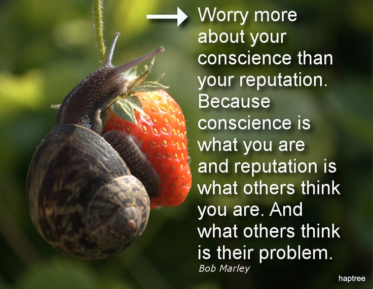 Gail The Snail Quotes. QuotesGram