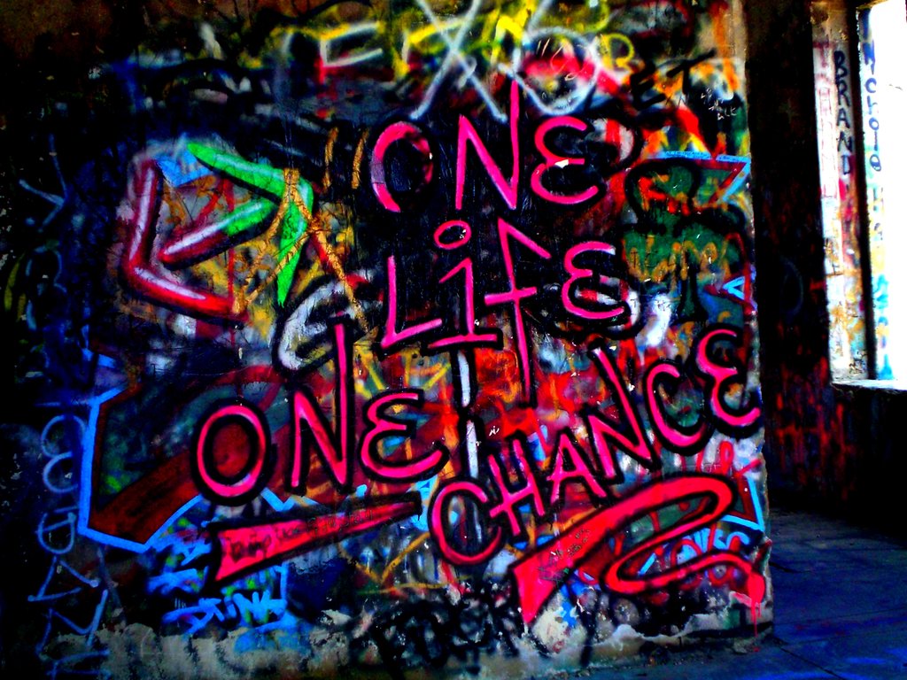 One Life One Chance Quotes. QuotesGram