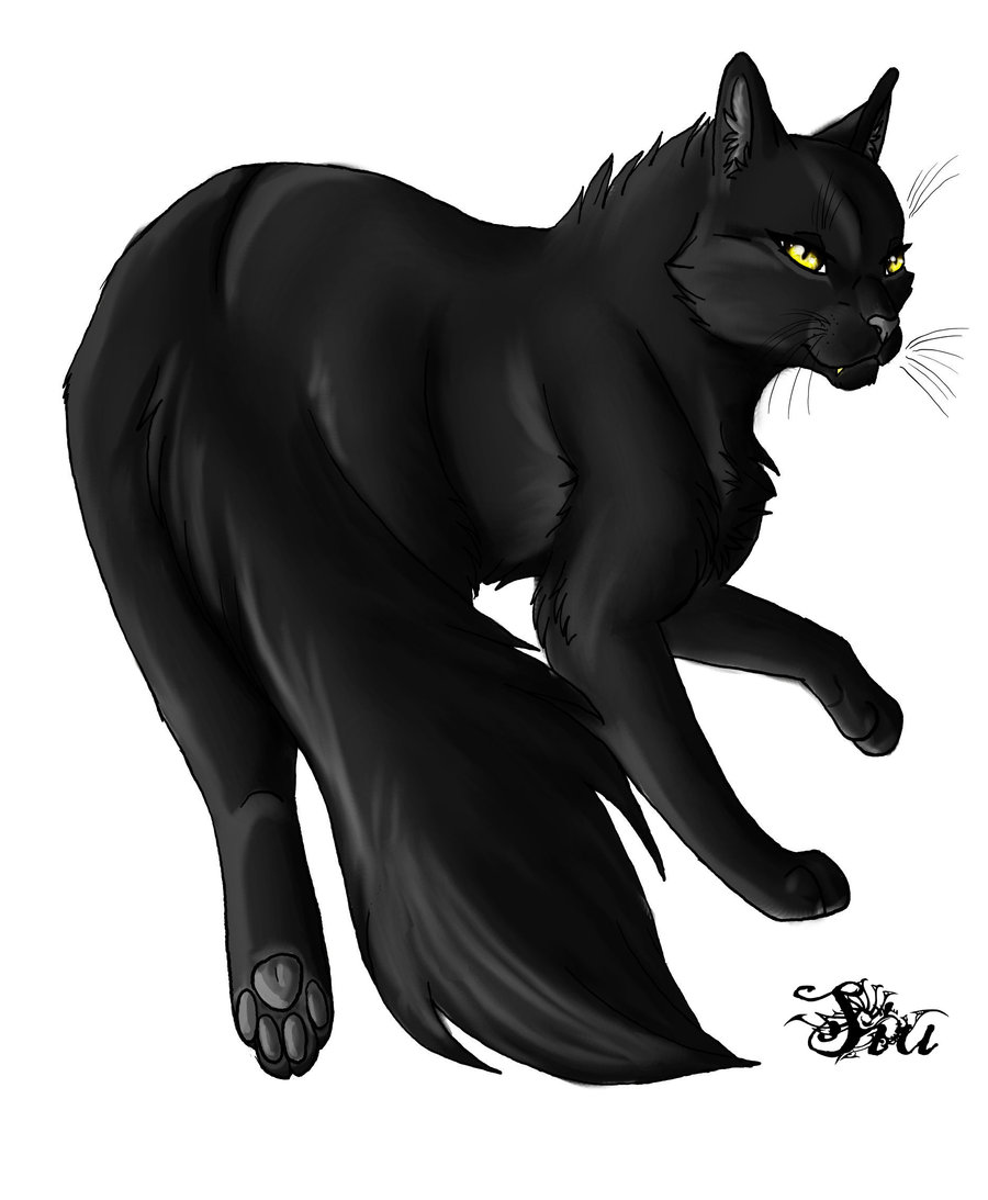 Warrior Cats Yellowfang Quotes. QuotesGram
