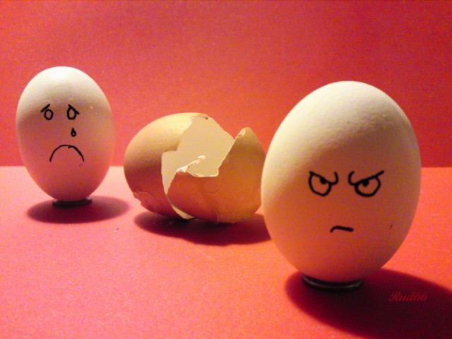 funny quotes about eggs quotesgram
