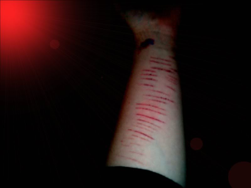 Emo Scars On My Heart Quotes. QuotesGram