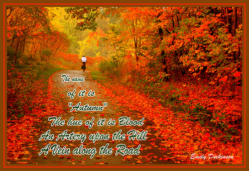 Quotes About Autumn Days. QuotesGram