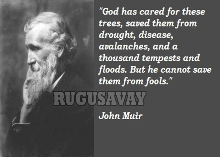 Famous Quotes By John Muir
