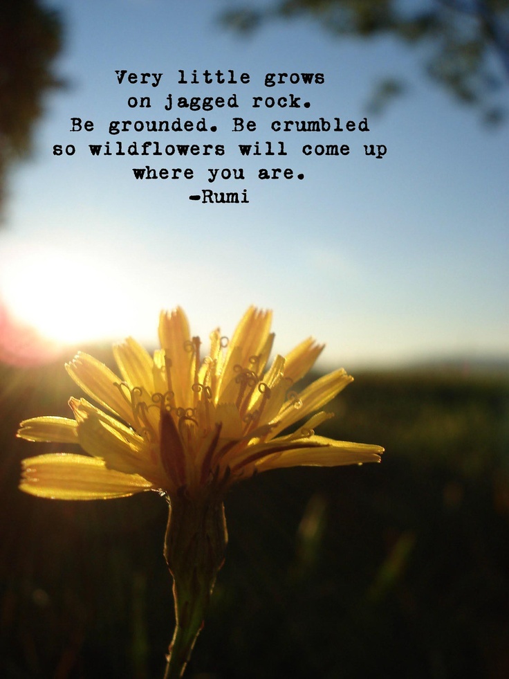 Celebrated Rumi Quotes. QuotesGram