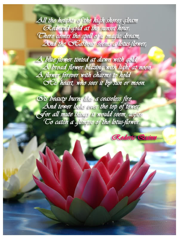 Lotus Flower Poems Quotes. QuotesGram