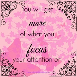 Focus Your Attention Quotes. QuotesGram