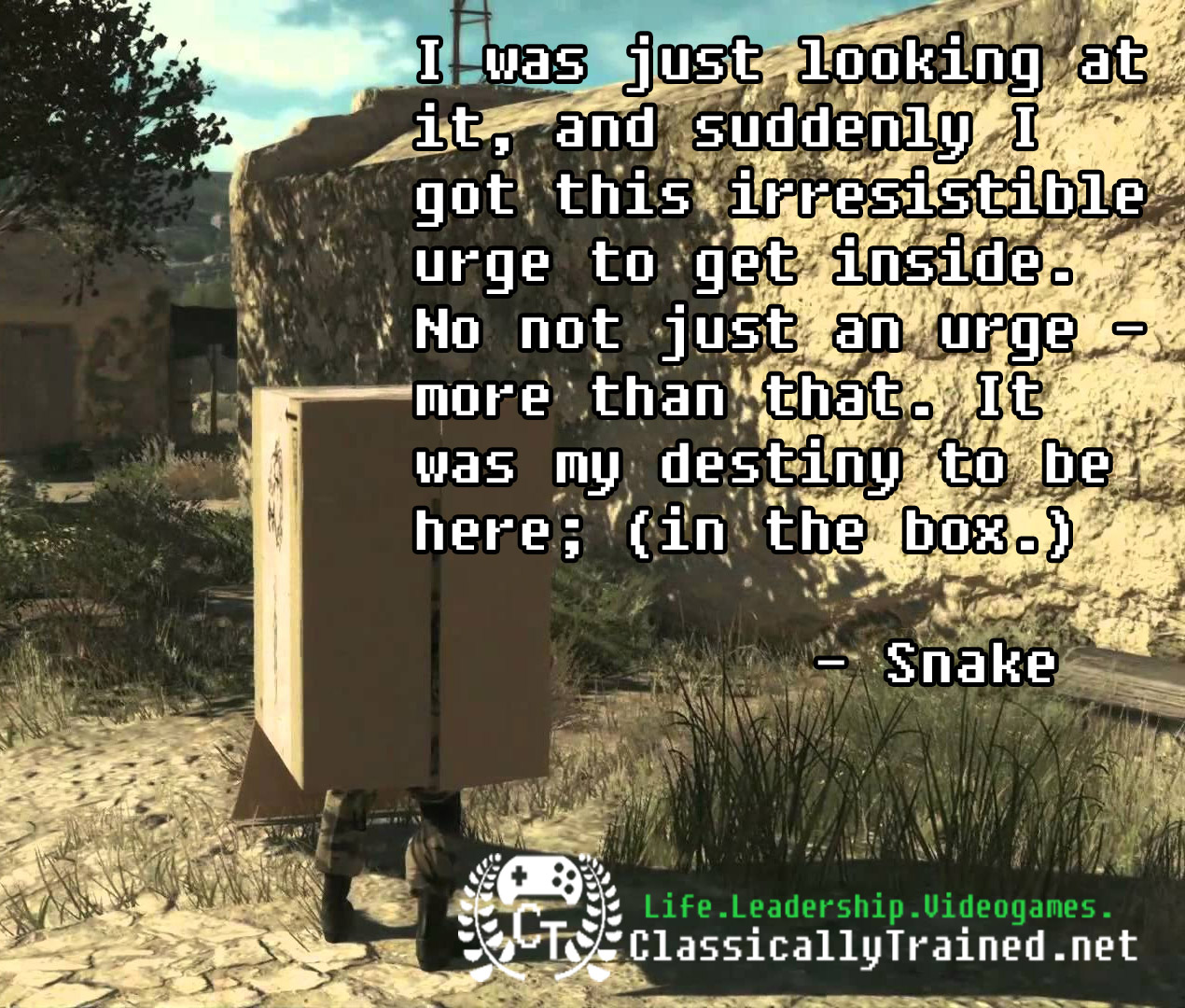 The Mysterious Allure Of Snakes