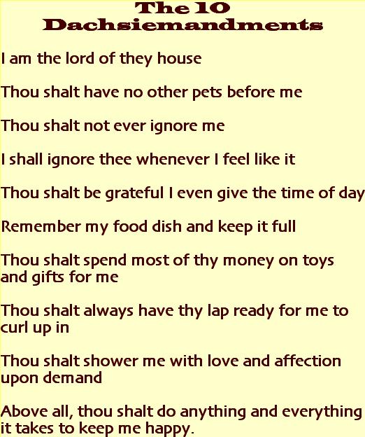 Interpreting Quotes Worksheets. QuotesGram