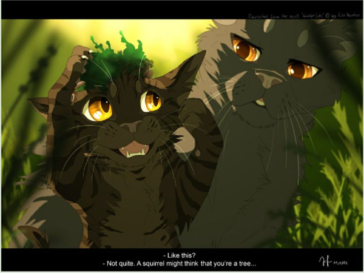 Yellowfang Quotes. QuotesGram