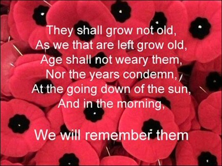 Quotes About Poppies Quotesgram Quotes About Poppies Quotesgram