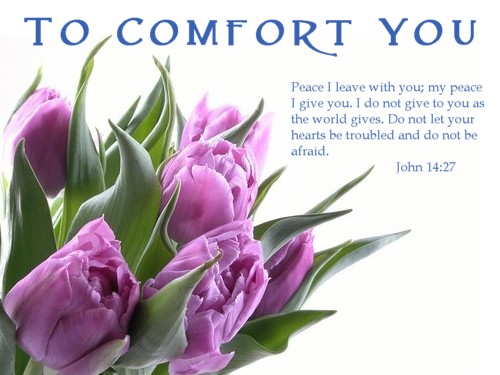 Sorry For Your Loss Mother Quotes. QuotesGram