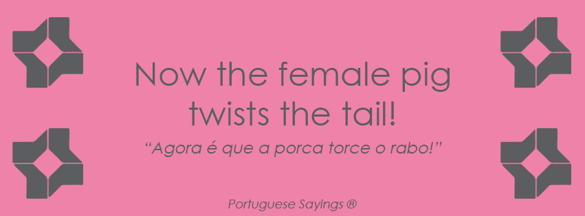 Portuguese Quotes About Life. QuotesGram