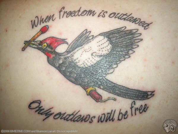 Still Life With Woodpecker Quotes Quotesgram