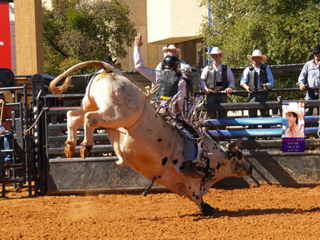Funny Bull Riding Quotes. QuotesGram Funny Bull Riding Quotes. QuotesGram